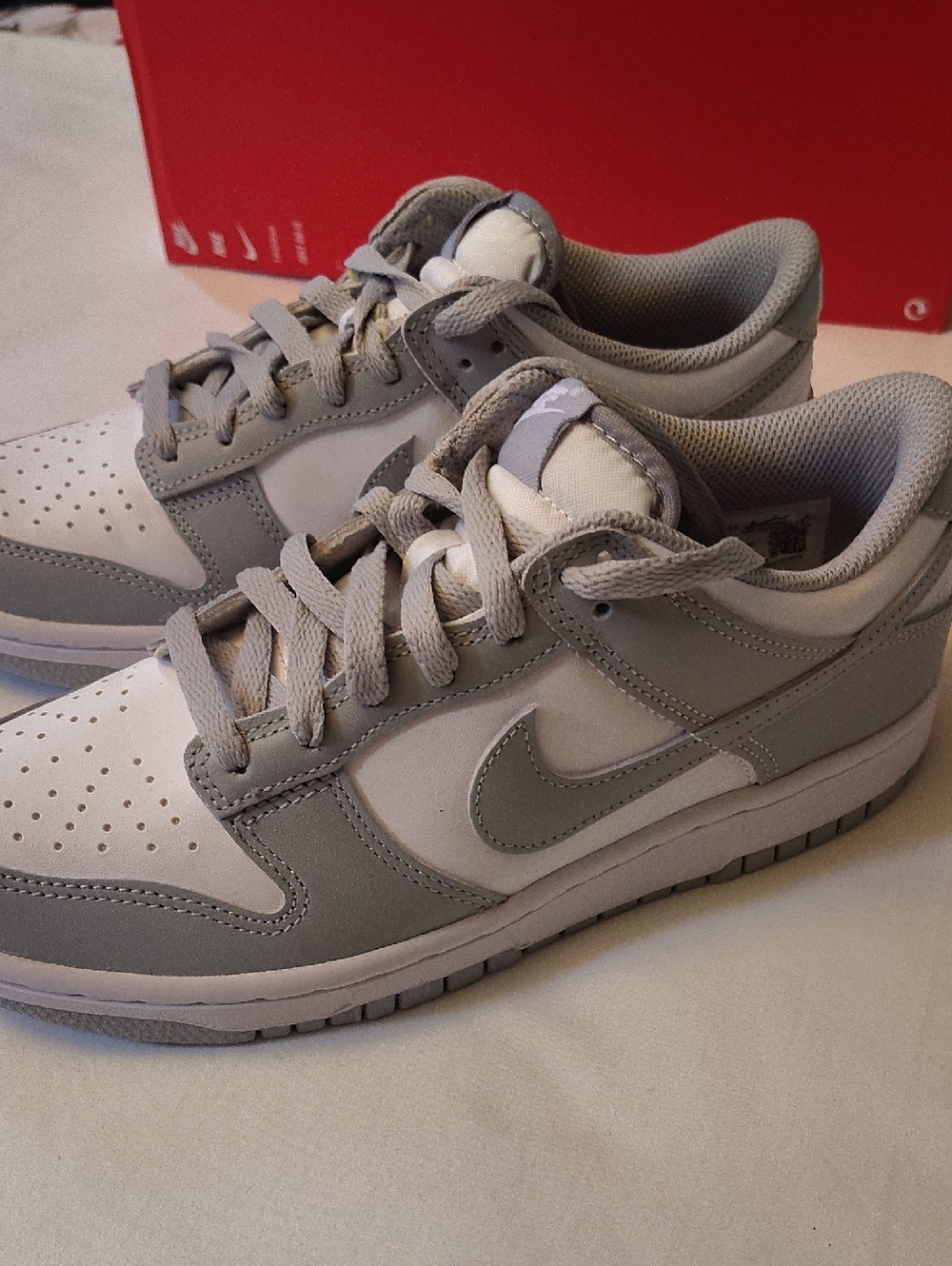 Nike Dunks Low-Top Sneakers in White & Light Gray New Size 6Y